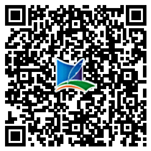 外商投资的公司分公司设立登记提交材料规范及办理流程